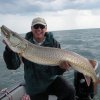 50\" Musky Caught on Wooly Bully!