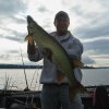 40\" Musky Caught on Wooly Bully!