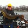 49\" Musky Caught on Wooly Bully!